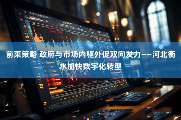 前莱策略 政府与市场内驱外促双向发力——河北衡水加快数字化转型